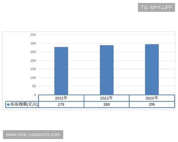 查尔顿俱乐部最新身价揭秘及未来发展潜力分析